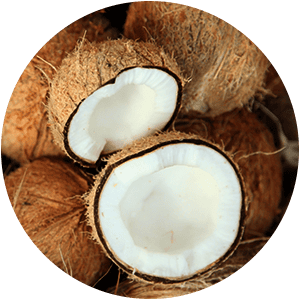 ingredients-coconut-oil