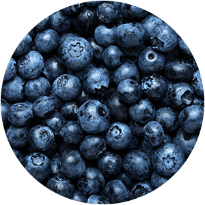 ingredients-v2024-blueberries