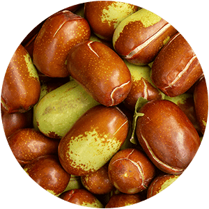 ingredients-v2024-jojoba