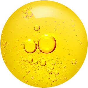 ingredients-v2024-skin-anticellulite-active-ingredient