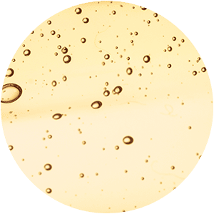 ingredients-v2024-vitamin-e